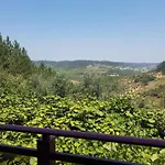 Charming In Matas With Pool, 20 M² شقة Mata (Fornos de Algodres)