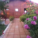 Charming In Matas With Pool, 20 M² * Mata (Fornos de Algodres)