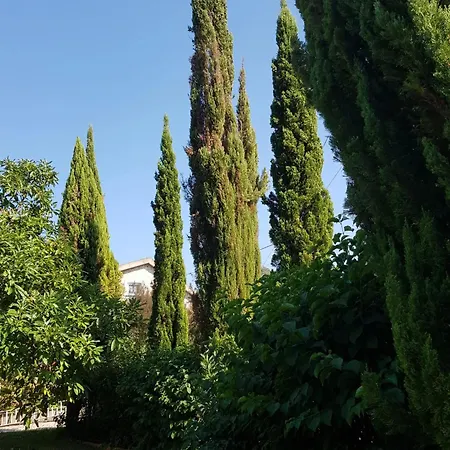 شقة Charming Studio In Matas With Pool, 20 M²