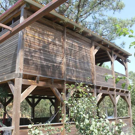 Charming In Matas With Pool, 20 M² Mata (Fornos de Algodres)