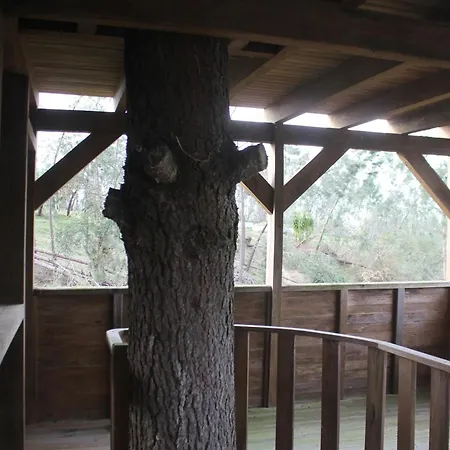 Charming In Matas With Pool, 20 M² Mata (Fornos de Algodres)