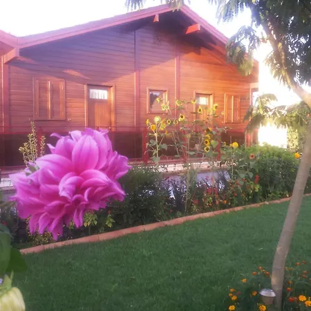 Charming In Matas With Pool, 20 M² Appartamento Mata