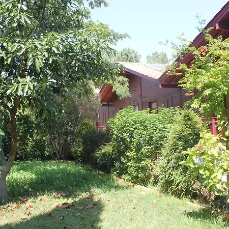 Apartment Charming In Matas With Pool, 20 M² *