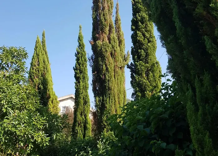 公寓 Charming Studio In Matas With Pool, 20 M²