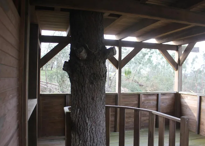 Charming In Matas With Pool, 20 M² Mata (Fornos de Algodres)