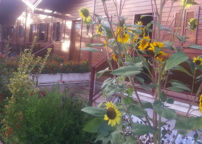 Апартаменты Charming In Matas With Pool, 20 M² Mata (Fornos de Algodres)