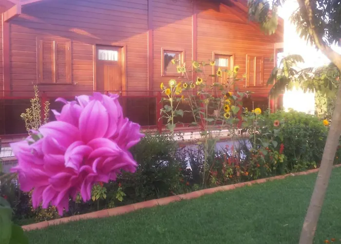 Charming In Matas With Pool, 20 M² Апартаменты Mata (Fornos de Algodres)