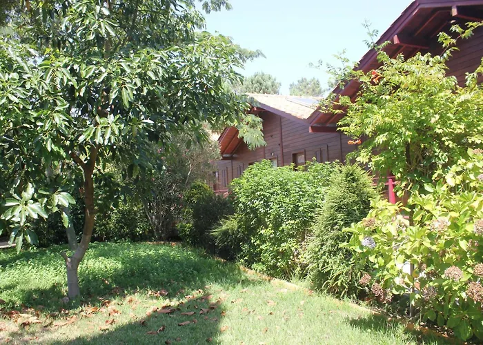 Апартаменты Charming In Matas With Pool, 20 M² *